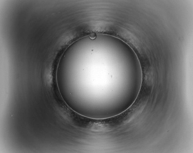 X0000096660635200802121131