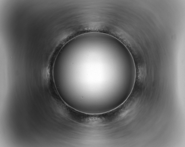 X0000096660636200802121131