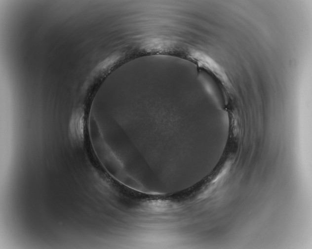 X0000096660637200802121131