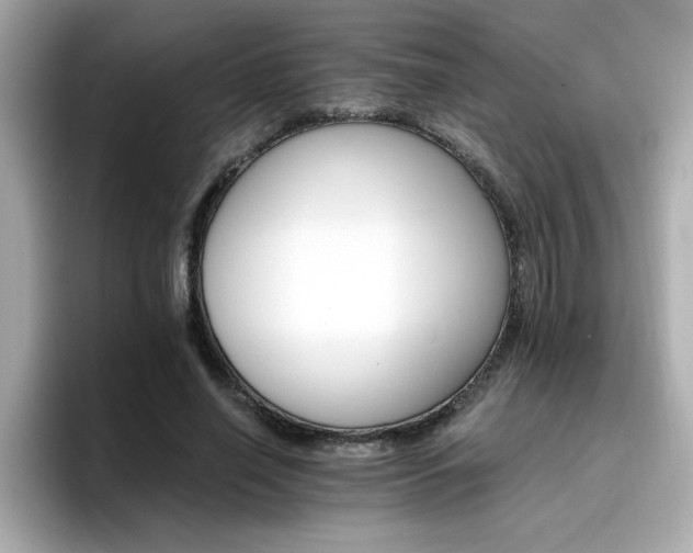 X0000096660638200802121131