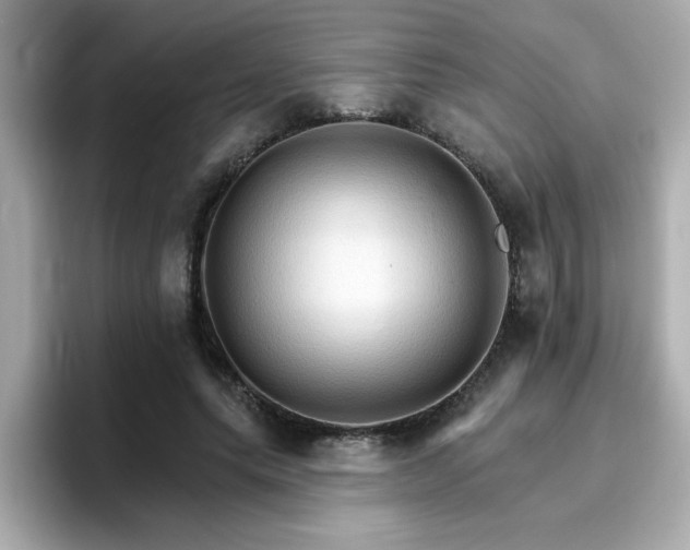 X0000096660639200802121131