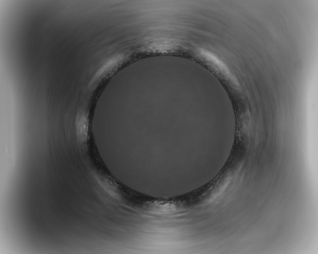 X0000096660640200802121131