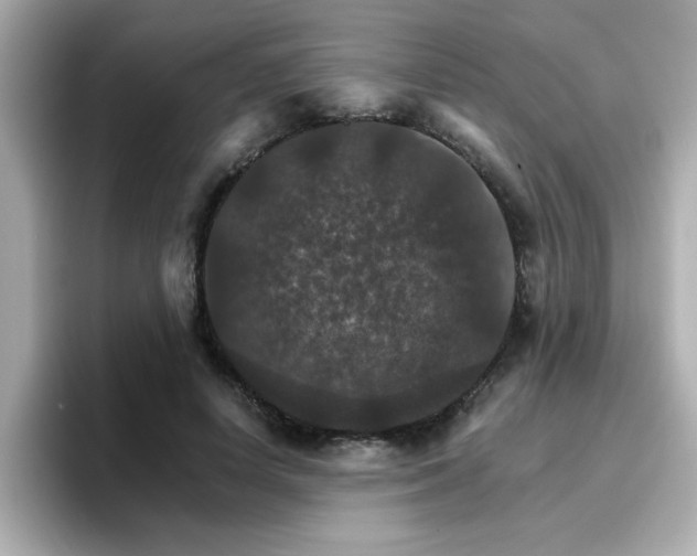 X0000096660642200802121131