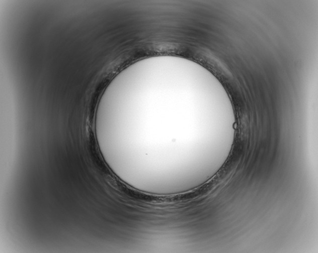 X0000096660644200802121131