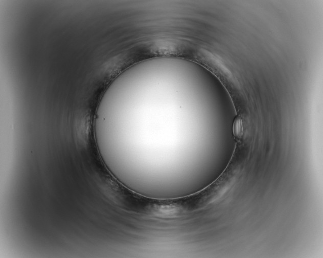 X0000096660645200802121131