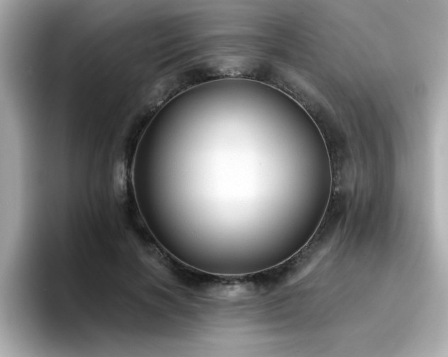 X0000096660646200802121131