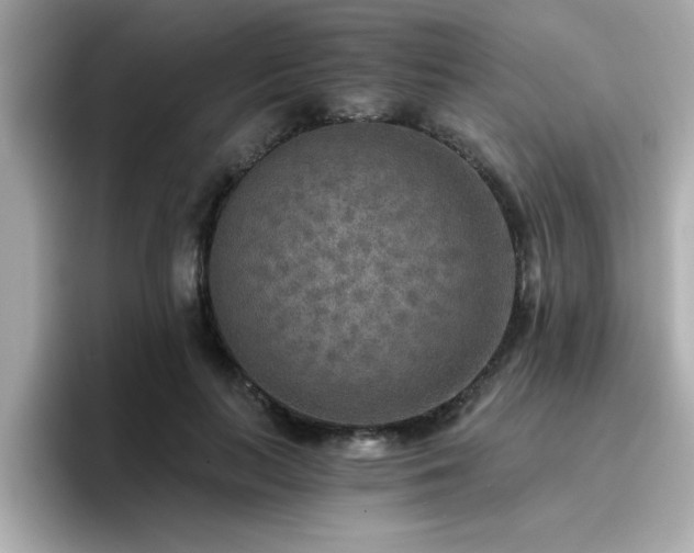 X0000096660647200802121131