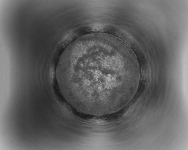 X0000096660648200802121131