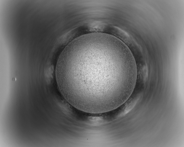 X0000096660649200802121131