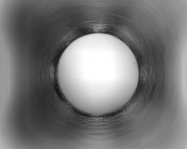 X0000096660650200802121131