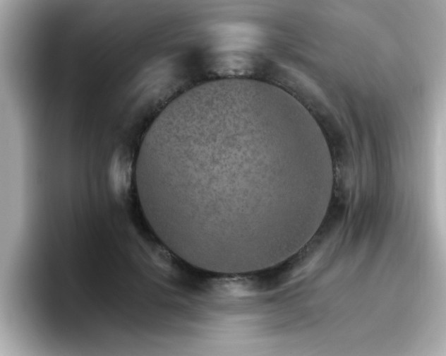 X0000096660652200802121131