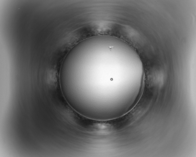 X0000096660654200802121132