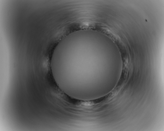 X0000096660659200802121132