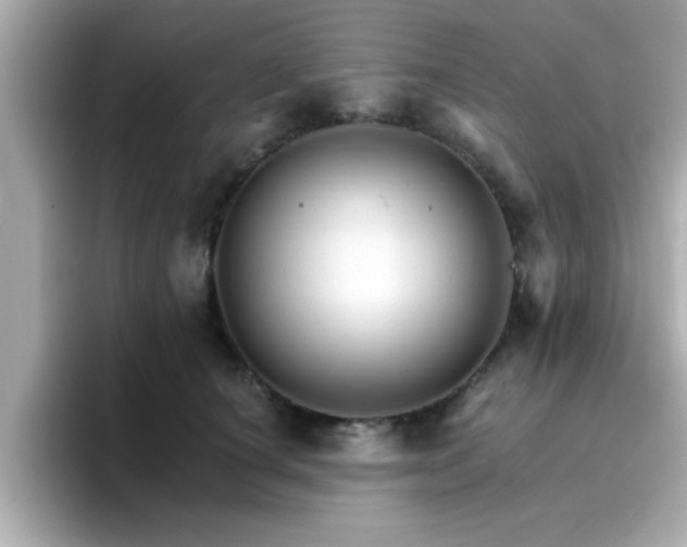 X0000096660660200802121132