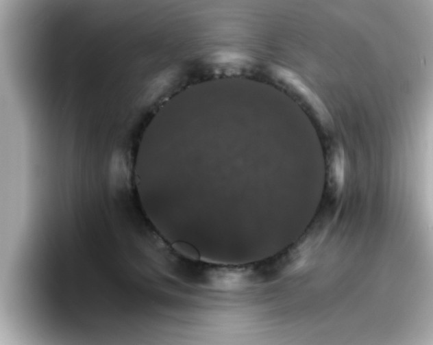 X0000096660661200802121132