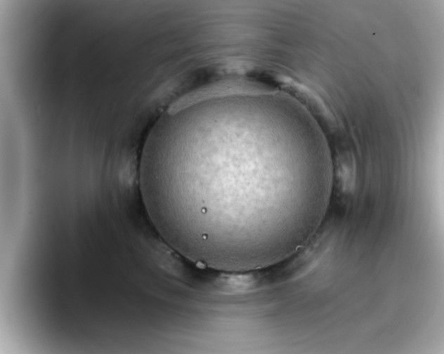 X0000096660665200802121132