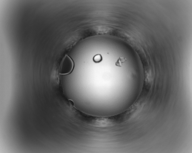 X0000096660666200802121132