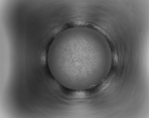 X0000096660668200802121132