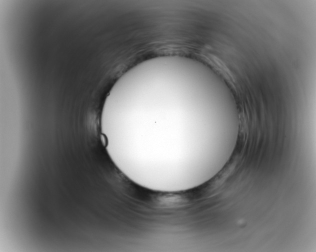 X0000096660669200802121132