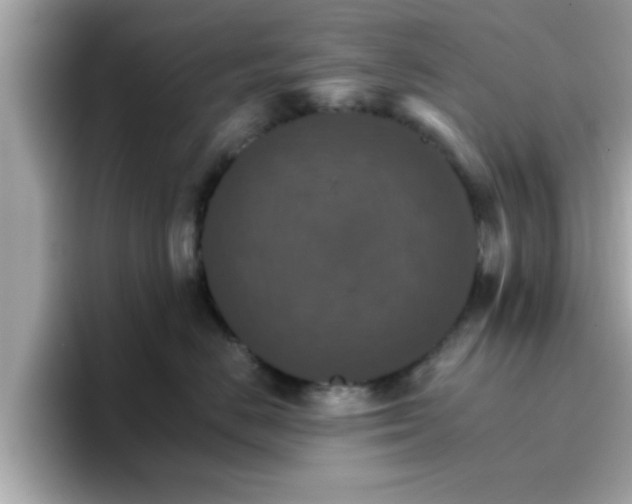 X0000096660670200802121132