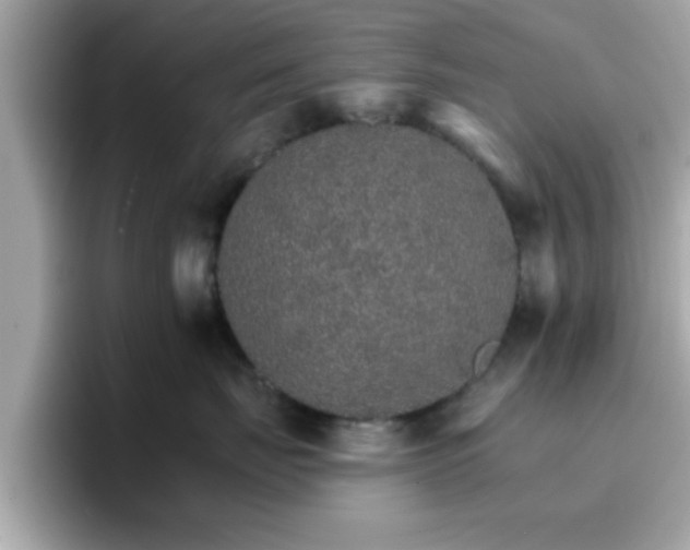 X0000096660671200802121132