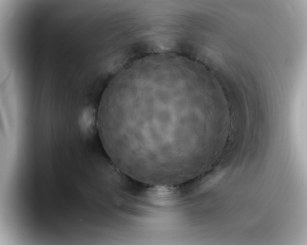 X0000096660672200802121132