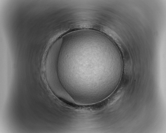 X0000096660673200802121131