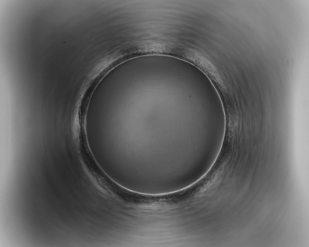 X0000096660674200802121131