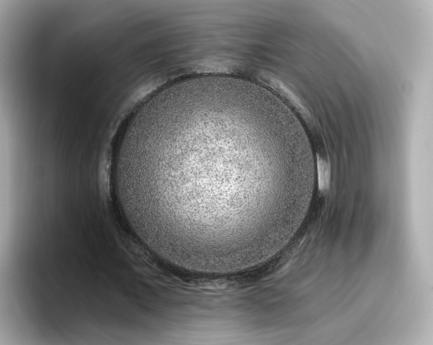 X0000096660675200802121131