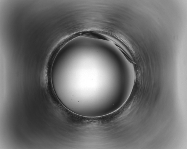 X0000096660676200802121131