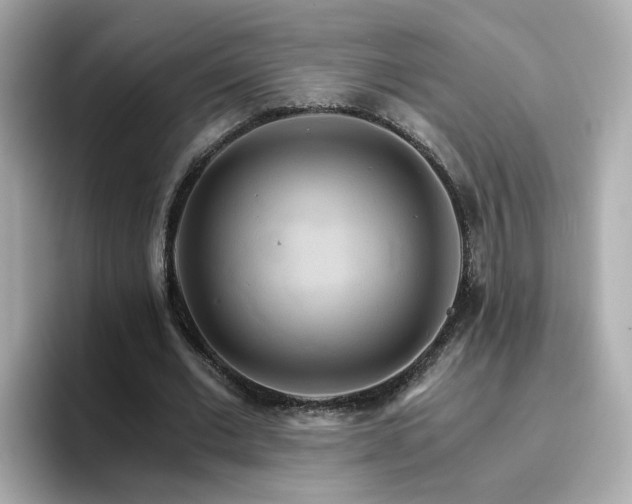 X0000096660677200802121131