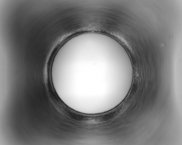 X0000096660678200802121131