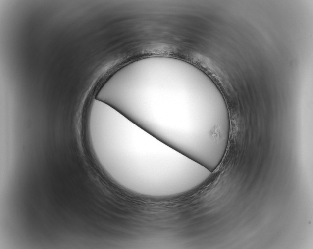 X0000096660679200802121131