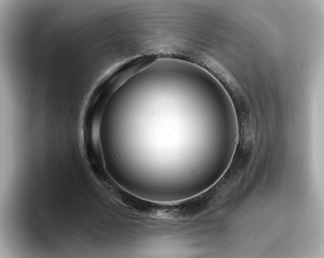 X0000096660680200802121131