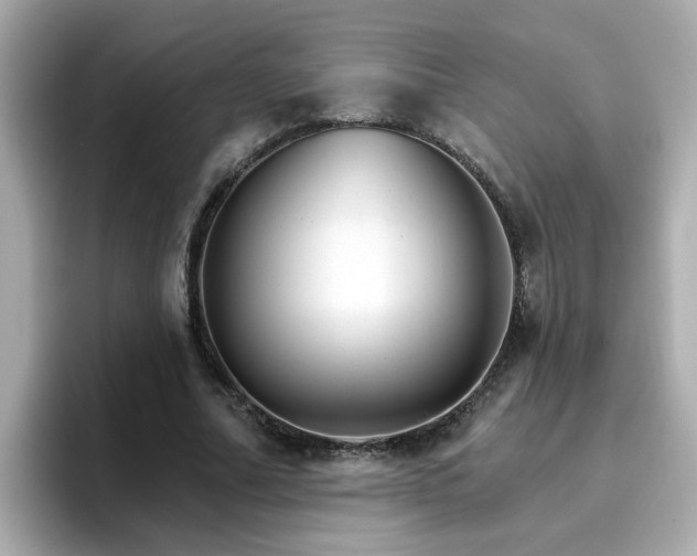 X0000096660682200802121131