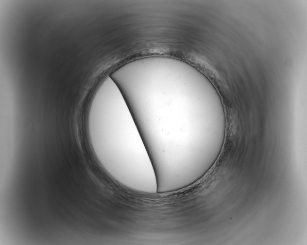 X0000096660683200802121131