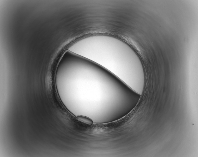 X0000096660684200802121131