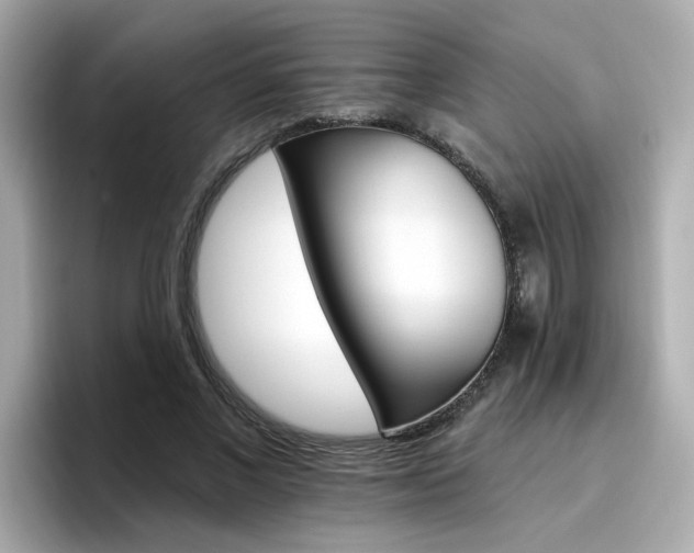 X0000096660685200802121131