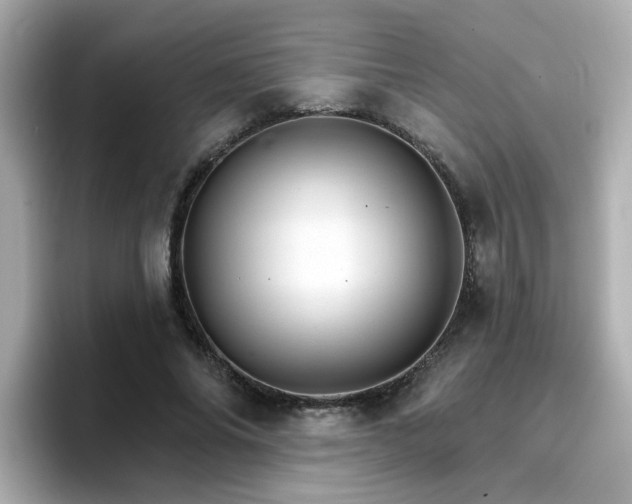 X0000096660686200802121131