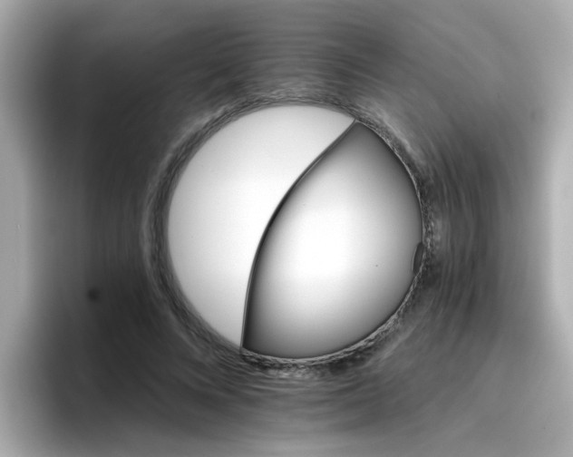 X0000096660688200802121131