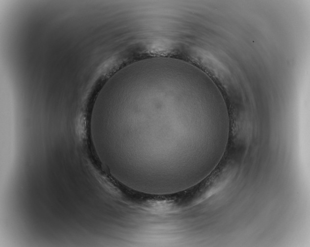 X0000096660689200802121131