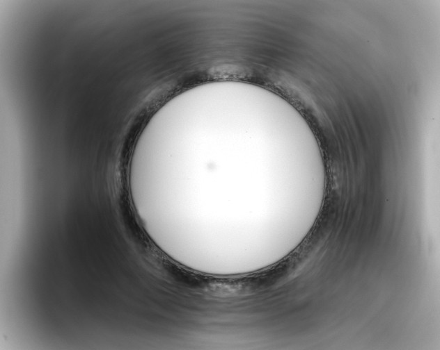 X0000096660690200802121131