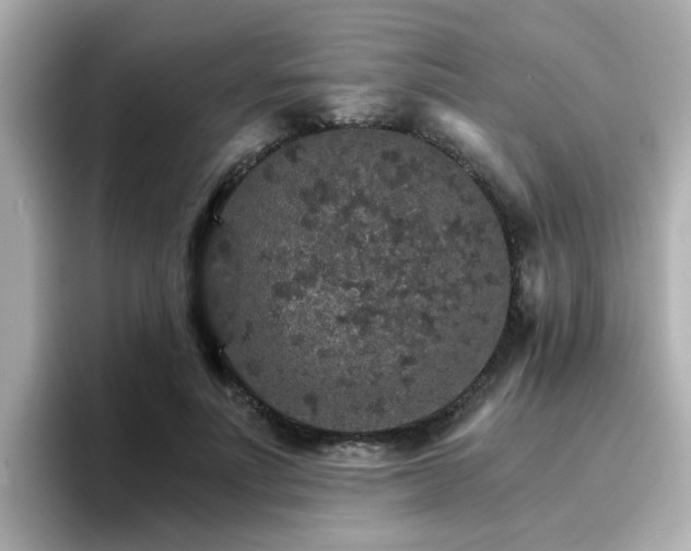 X0000096660691200802121131