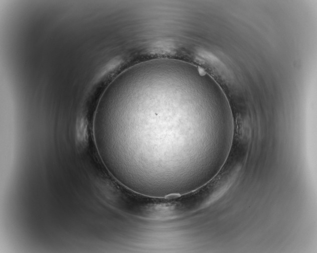 X0000096660692200802121131