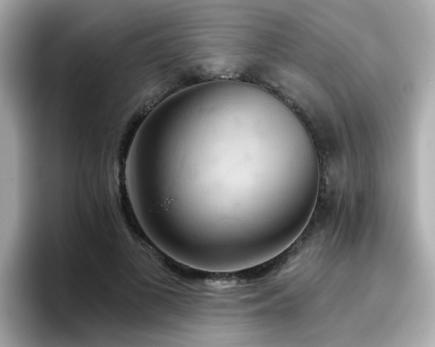 X0000096660693200802121131