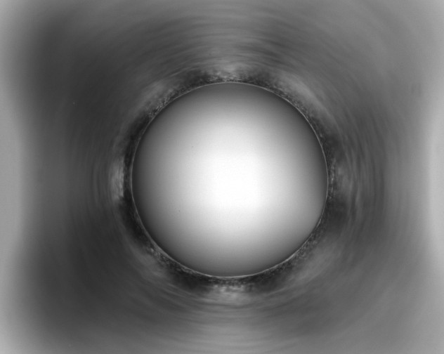 X0000096660694200802121131