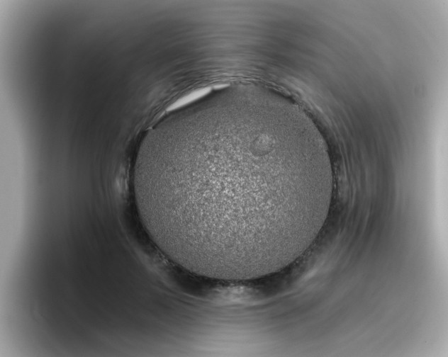 X0000096660695200802121131