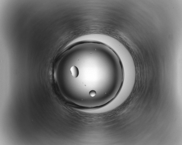 X0000096660696200802121131