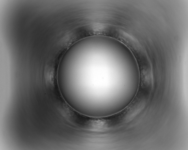 X0000096660698200802121131