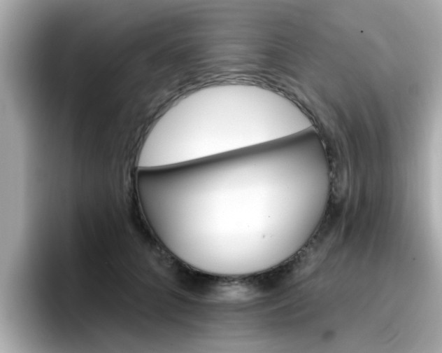 X0000096660704200802121131